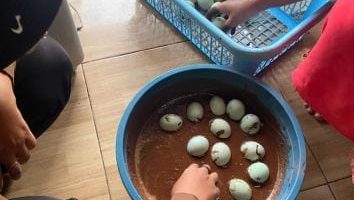Pendampingan yang dilakukan mahasiswa kepada pelaku UMKM Telur Asin di Kelurahan Karangsari. Fokus pendampingan adalah pada inovasi proses produksi, yaitu mengganti media pengasinan dari abu ke pasir bata untuk menghasilkan telur asin dengan warna kuning lebih cerah dan tekstur masir yang higienis