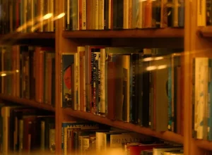 Perpustakaan Sebagai Sumber Belajar Sepanjang Hayat