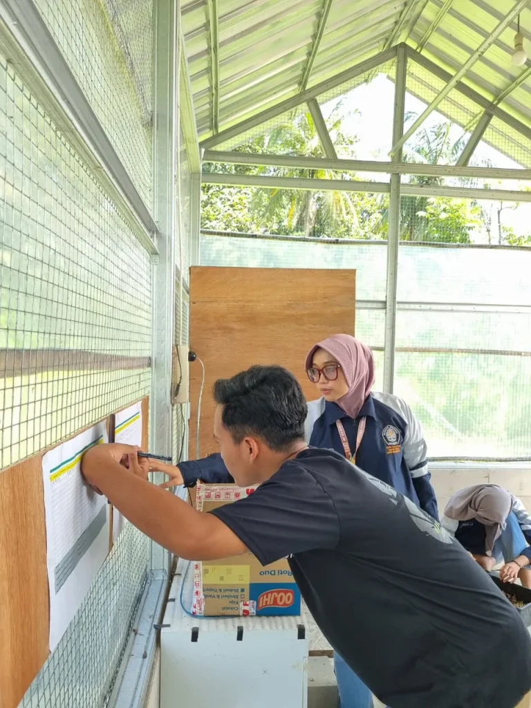 Optimalisasi Kelompok Usaha Masyarakat, Mahasiswa KKN Undip Lakukan Pendampingan Produksi Peternakan Terintegrasi di Desa Kadirejo, Kabupaten Semarang