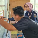 Optimalisasi Kelompok Usaha Masyarakat, Mahasiswa KKN Undip Lakukan Pendampingan Produksi Peternakan Terintegrasi di Desa Kadirejo, Kabupaten Semarang