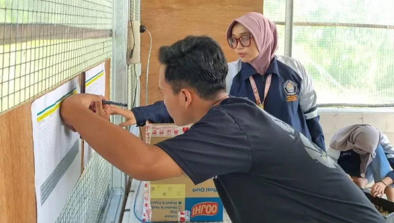 Optimalisasi Kelompok Usaha Masyarakat, Mahasiswa KKN Undip Lakukan Pendampingan Produksi Peternakan Terintegrasi di Desa Kadirejo, Kabupaten Semarang