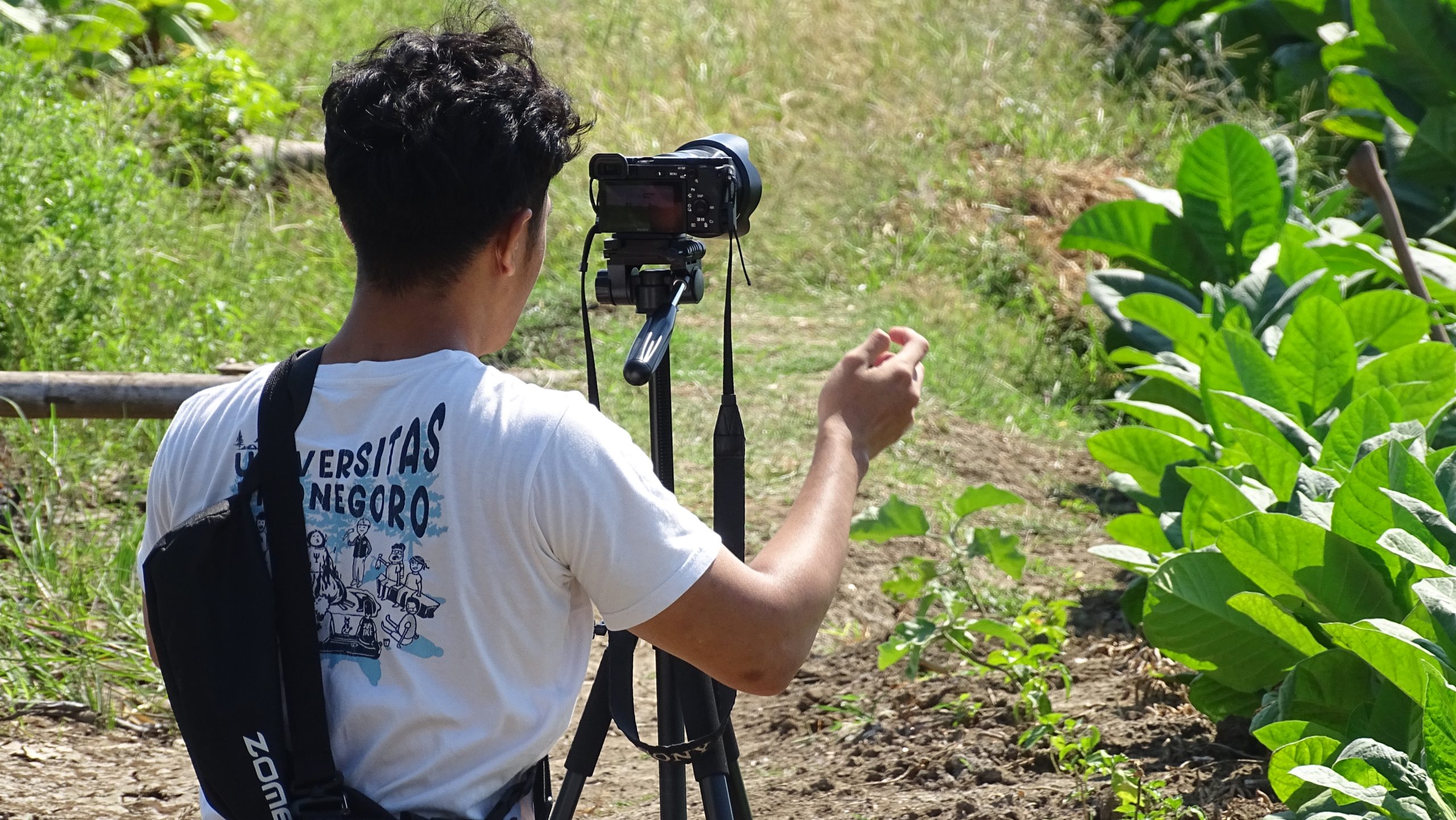 Dokumentasi proses pengambilan gambar dan video "footage" untuk bahan pembuatan video profil Desa Kaliyoso (Dok. Tim II KKN UNDIP 2026)