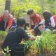 Revitalisasi Taman TOGA